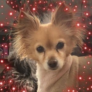 Meet your Posher, Deanna